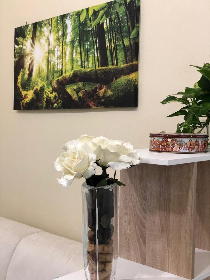 Sofihome Bologne Extérieur photo